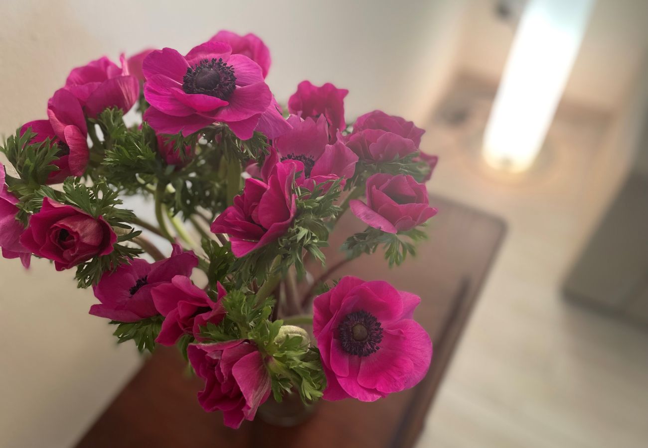 Apartment in Toscolano-Maderno - Casa Piccolo